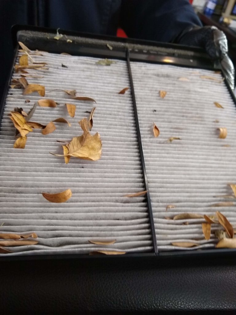 Picture of a dirty cabin filter